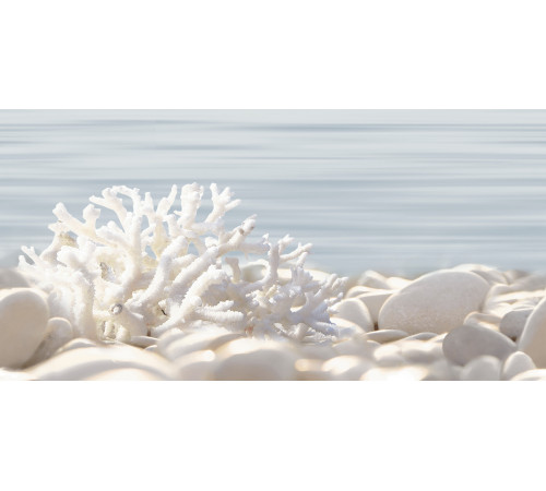 Декор Del Mare DWU09DLM624 249x500x7.5 Глянцевая