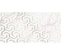 Декоративная плитка Alma Ceramica DWU09GRG007 Grigio 50x24.9 серая / белая глянцевая с орнаментом