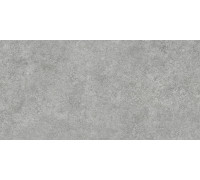 Керамогранит Alma Ceramica GFA114ADM70R Amsterdam 114x57 серый сатинированный под камень