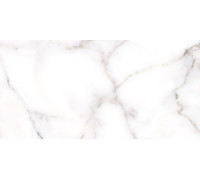 Настенная плитка Alma Ceramica TWU09GRG007 Grigio 50x24.9 белая глянцевая под камень