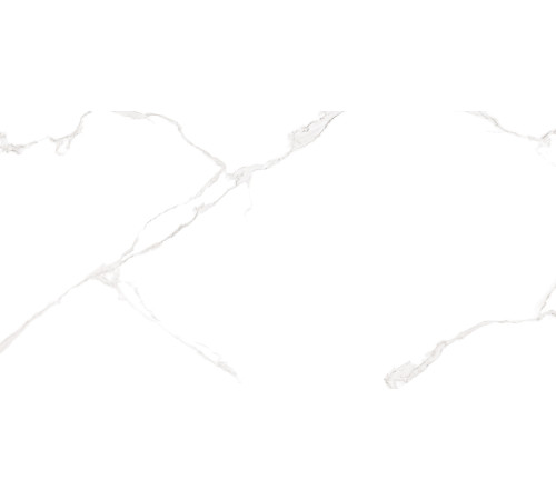 Плитка настенная Elemento Bianco Carrara WT9ELT00 250x500x9 Глянцевая