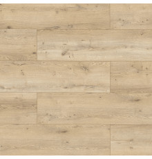 Ламинат Classen Story AC5/33 4V WR (1285x192x12 мм) 55233 Дуб Вальдоф (1,48 кв.м.)