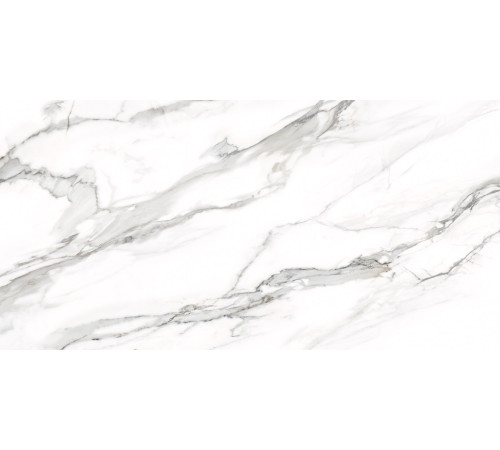 Керамогранит Delacora D12053M Omega Silver 60x120 белый матовый под мрамор