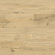 Ламинат Floorwood Paradigma AC6/34 4V (1220х198х12мм) 8335 Дуб Риман/ Riman Oak (2,174 кв м)