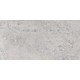 Керамогранит Граните Доломити Монте птерно Светлый 60х120 MR