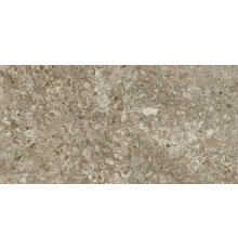 Керамогранит Граните Лунар коричневый 60х120 MR