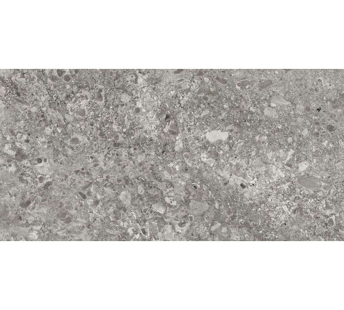Керамогранит Граните Лунар серый 60х120 LLR