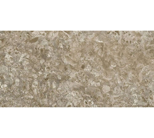 Керамогранит Граните Лунар коричневый 60х120 LLR