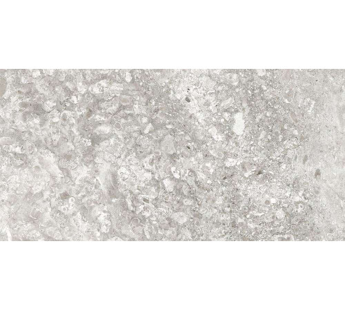 Керамогранит Граните Лунар светло-серый 60х120 MR