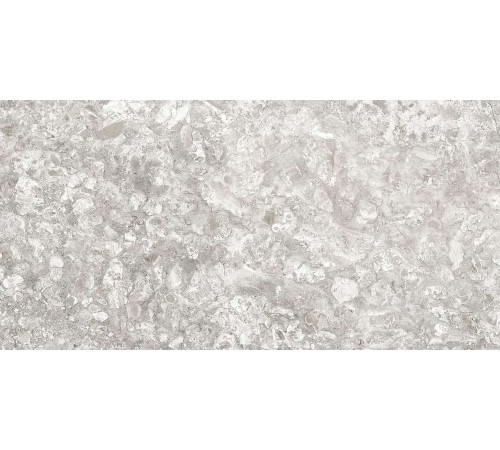 Керамогранит Граните Лунар светло-серый 60х120 MR