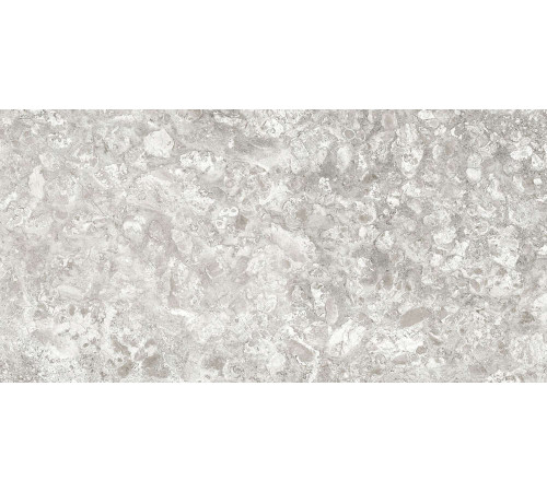 Керамогранит Граните Лунар светло-серый 60х120 MR