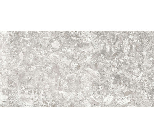 Керамогранит Граните Лунар светло-серый 60х120 MR