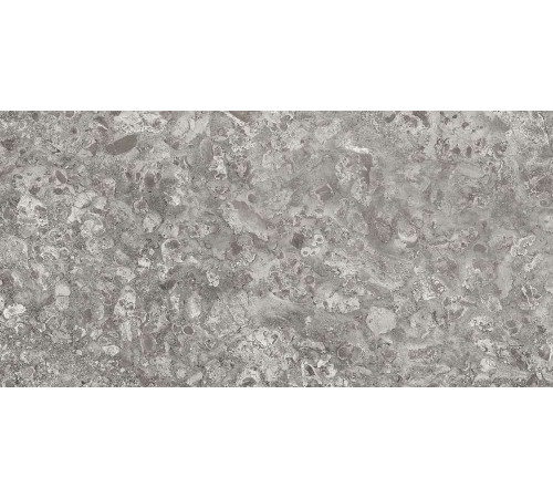 Керамогранит Граните Лунар серый 60х120 LLR