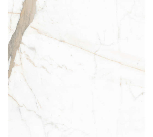 Керамогранит Граните Паллисандро Оро 60х60 SR