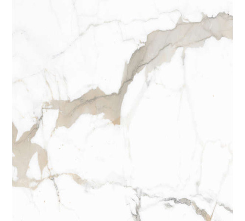 Керамогранит Граните Паллисандро Оро 60х60 SR