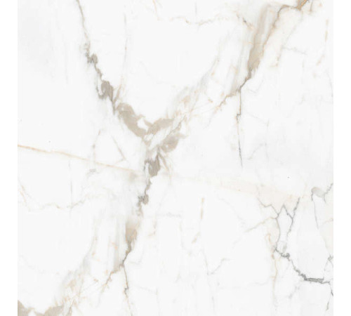 Керамогранит Граните Паллисандро Оро 60х60 SR