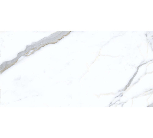 Керамогранит Граните Паллисандро Классик 60х120 MR