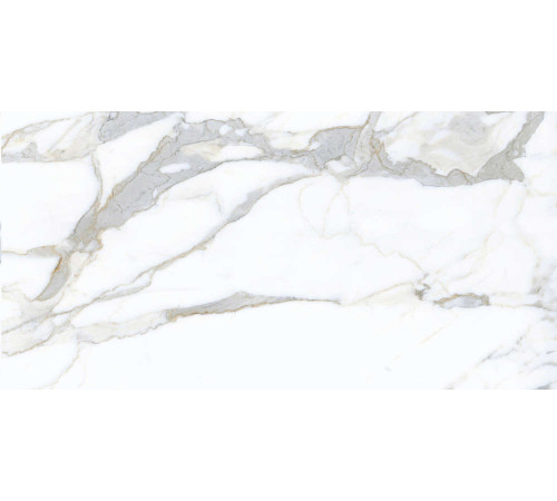 Керамогранит Граните Паллисандро Классик 60х120 MR