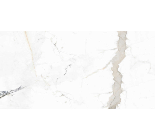 Керамогранит Граните Паллисандро Оро 60х120 LLR