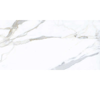 Керамогранит Граните Паллисандро Классик 60х120 LLR