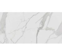 Керамогранит Граните Паллисандро Гриджио 60х120 MR