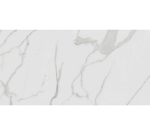 Керамогранит Граните Паллисандро Гриджио 60х120 LLR