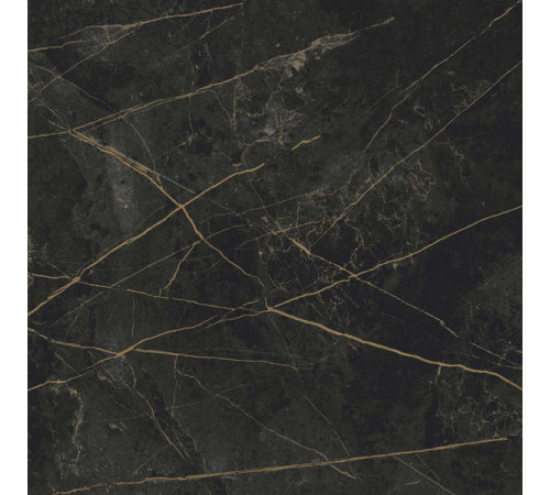 Керамогранит Граните Сандра черно-оливковый 60х60 MR