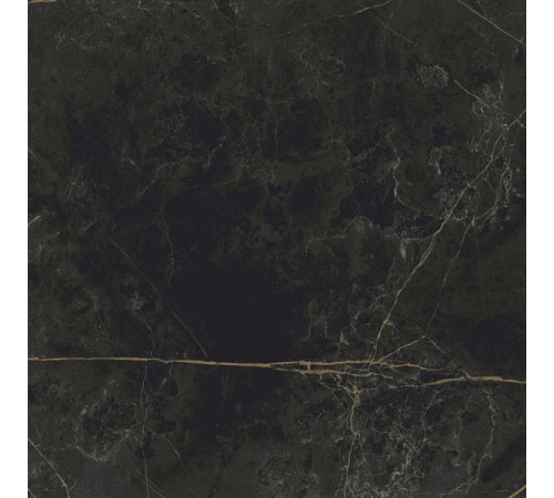 Керамогранит Граните Сандра черно-оливковый 60х60 LLR