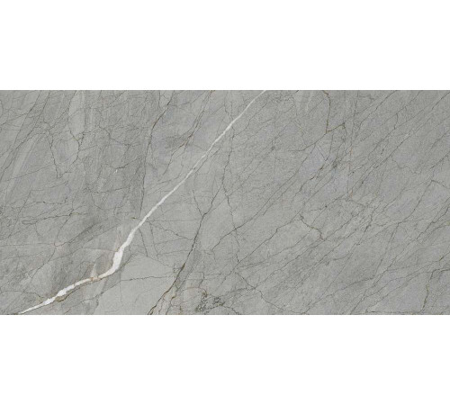 Керамогранит Граните Сансет Ардженто 60х120 MR