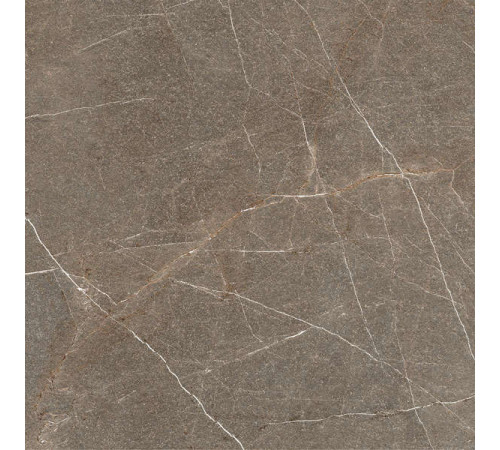 Керамогранит Граните София Велюр 60х60 LLR
