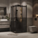 Душевое ограждение Grossman Classic 300.K33.04.1010.21.10 (100х195) квадрат,раздвижная,черный матовый,стекло тонированное