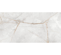 Керамогранит LCM 60120PEC15P Special Marmo Gray 60x120 серый полированный под камень