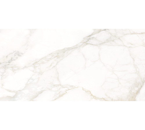 Керамогранит LCM 60120UNA00M Calacatta Luna 60x120 белый глазурованный матовый под камень