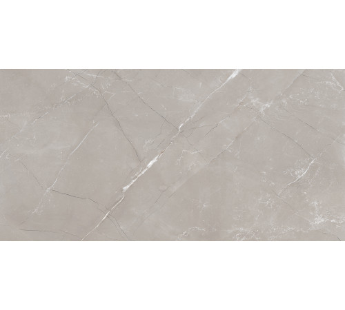 Vitrum Grigio Керамогранит серый 60x120 полированный