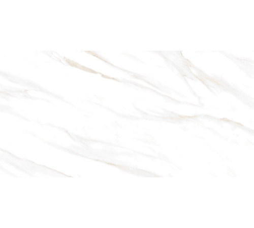 Calacatta Clarity Gold Керамогранит белый 60х120 Матовый