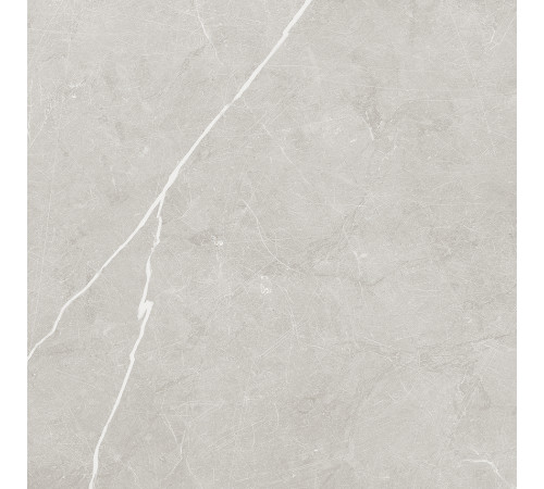 Scandy Керамогранит светло-серый обрезной SG645120R 59,5х59,5