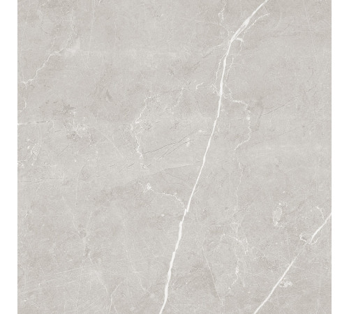 Scandy Керамогранит светло-серый обрезной SG645120R 59,5х59,5