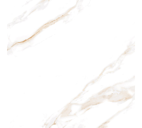 Calacatta Regal Gold Керамогранит белый 60х60 Полированный