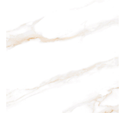 Calacatta Regal Gold Керамогранит белый 60х60 Полированный