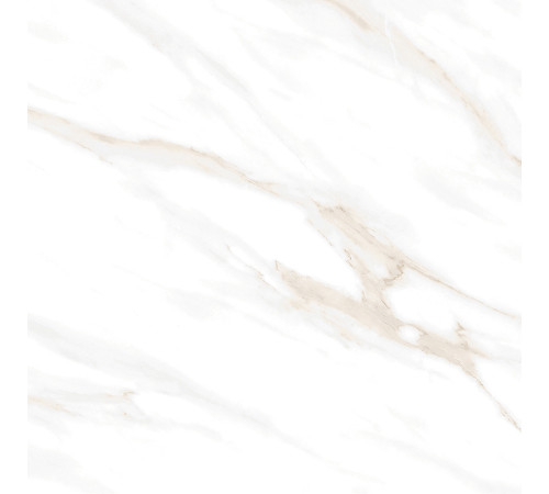 Calacatta Clarity Gold Керамогранит белый 60х60 Матовый