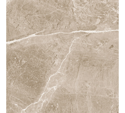 Obsidian Taupe Керамогранит 60х60 Матовый