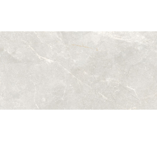 Rocky Bianco PRO Керамогранит светло-серый 60х120 матовый R10GR STR CB