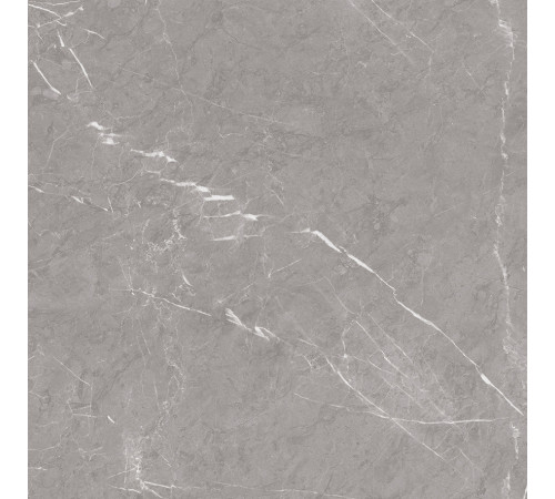 Pietra Grey Керамогранит серый 60х60 матовый карвинг