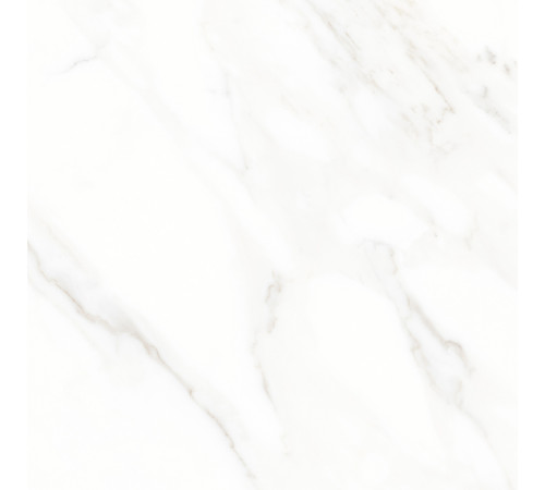 Calacatta Michael Керамогранит белый 60х60 матовый