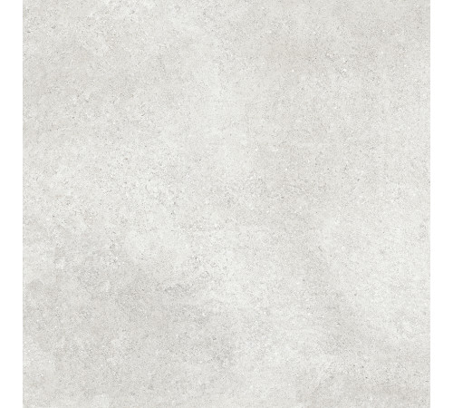 Siena Grey PRO Керамогранит светло-серый K948153R0001LPET 59,7х59,7 R10 STR