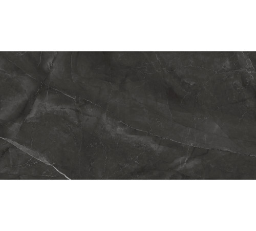 Timeless Grafite Керамогранит графит LP6012G0031R 59,5х119,1 матовый карвинг