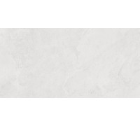 Porter Silver PRO Керамогранит светло-серый LP6012G0171R 59,5х119,1 матовый карвинг R10 STR