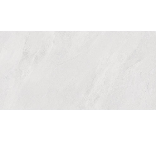 Porter Silver PRO Керамогранит светло-серый LP6012G0171R 59,5х119,1 матовый карвинг R10 STR