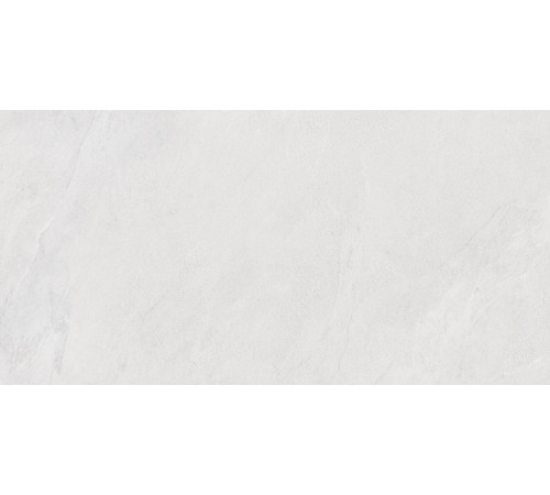 Porter Silver PRO Керамогранит светло-серый LP6012G0171R 59,5х119,1 матовый карвинг R10 STR