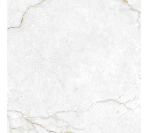 Torso Gold Керамогранит 60х60 Полированный